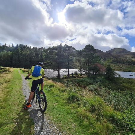 ホテル Delightful Camping Pod In Snowdonia, North Wales. Derwen エクステリア 写真
